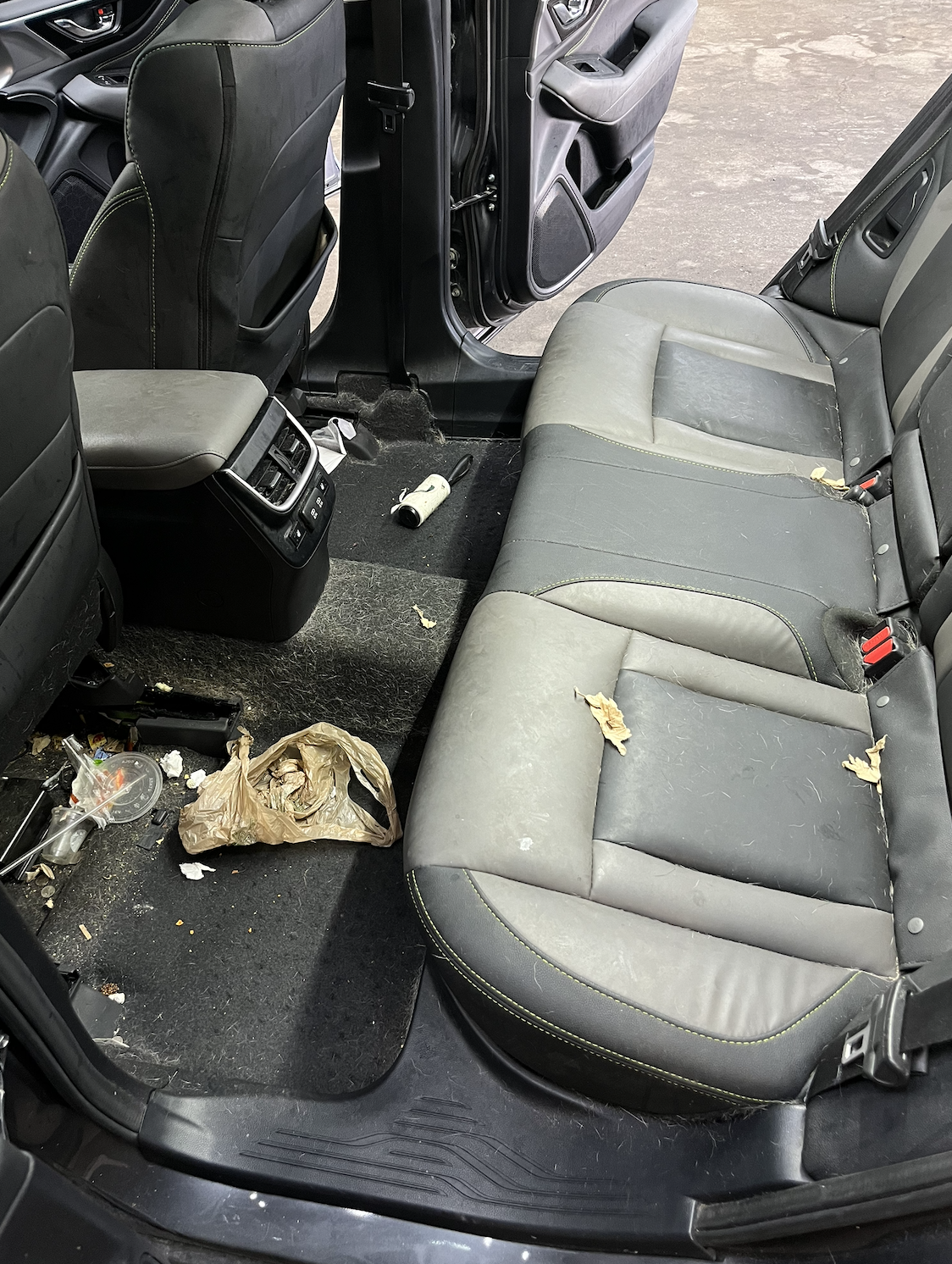 interior professional detailing in ann arbor
