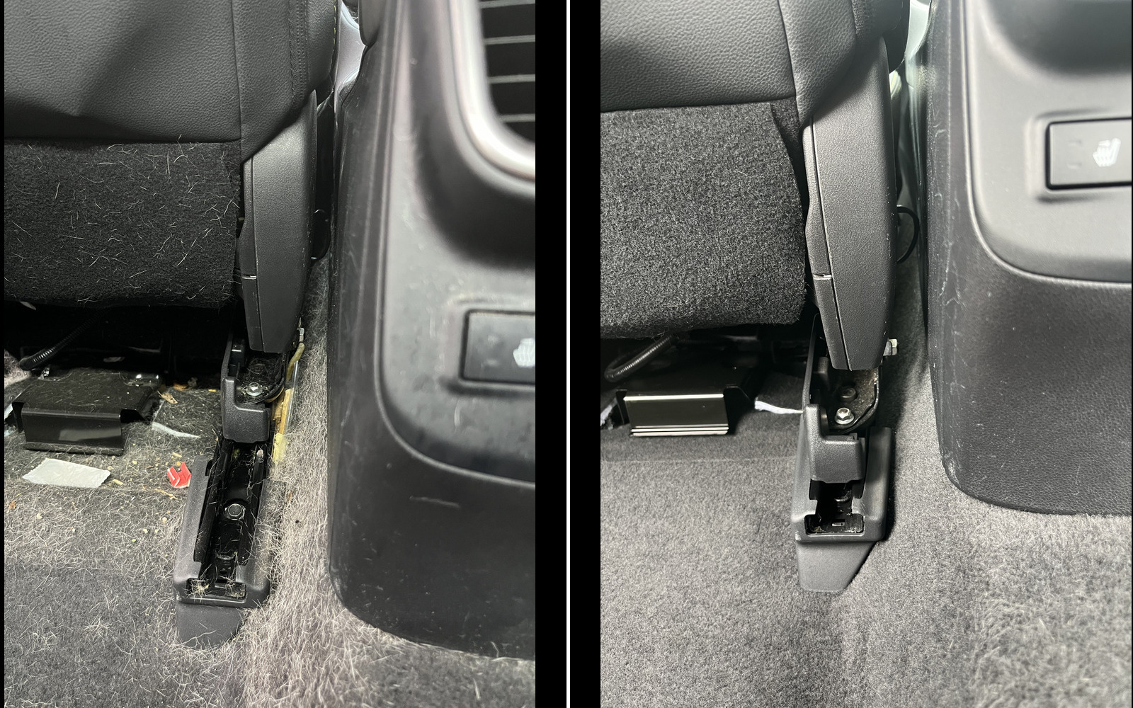 Car detailing services for pet odor removal in Ann Arbor