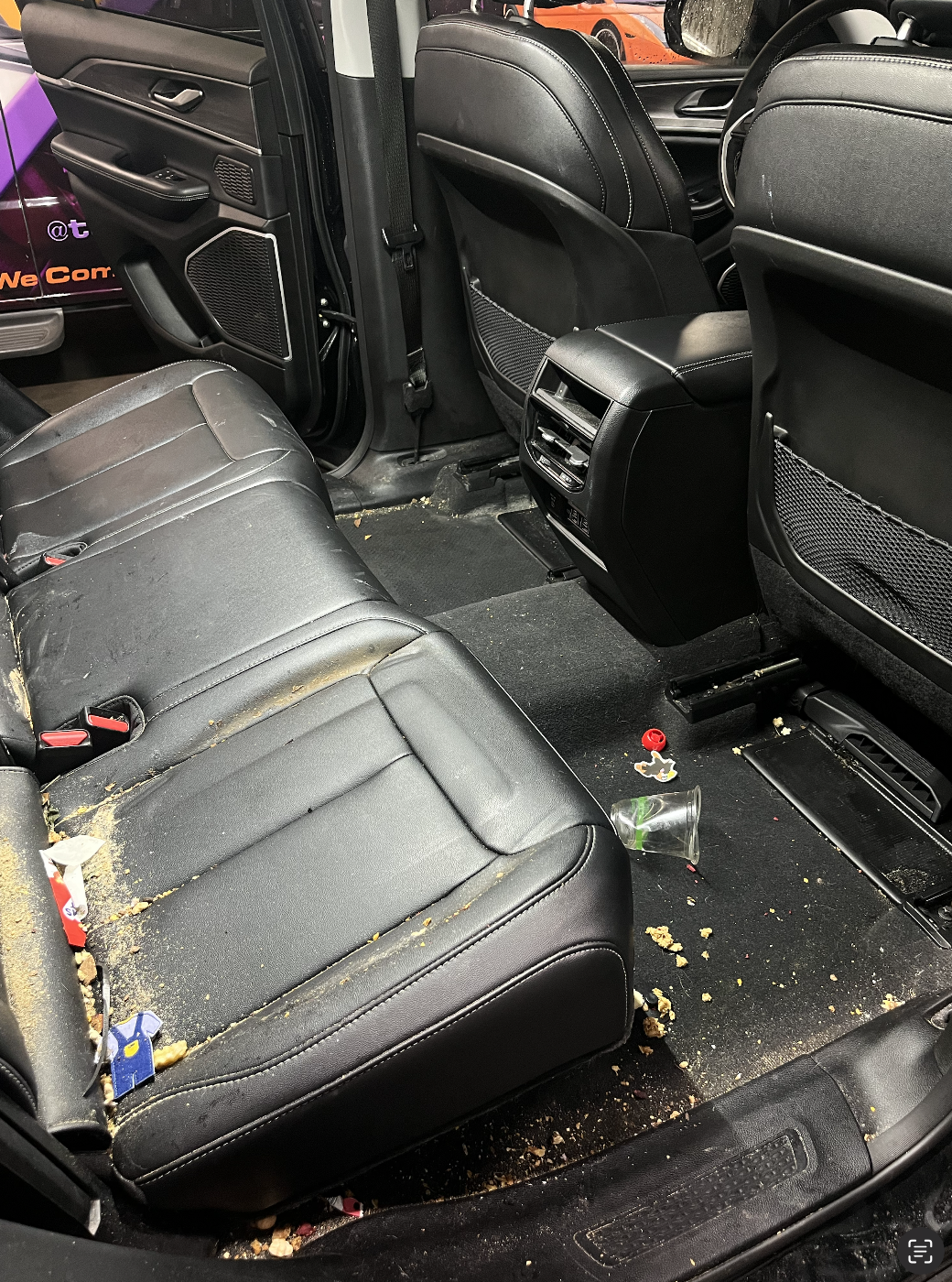 interior car detailing in the backset of a car